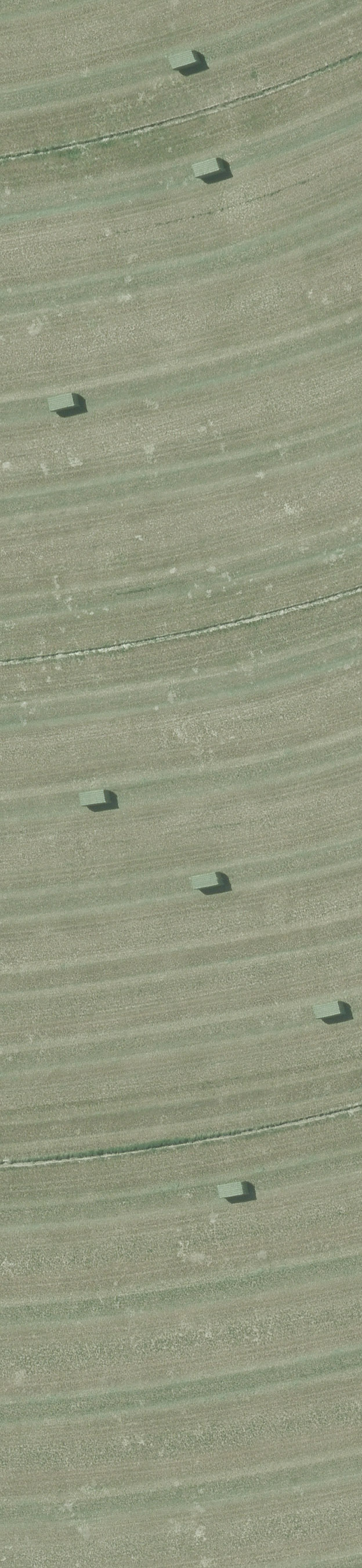 Agriculture_Rangeland