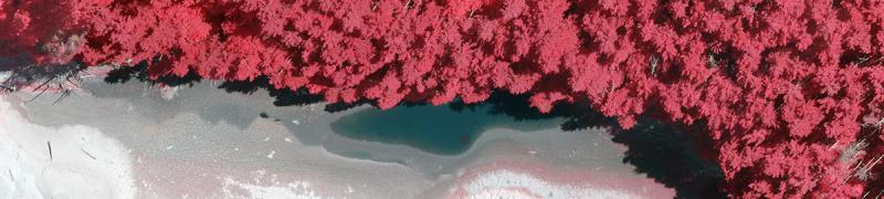 CIR_banner_AccessGeographic