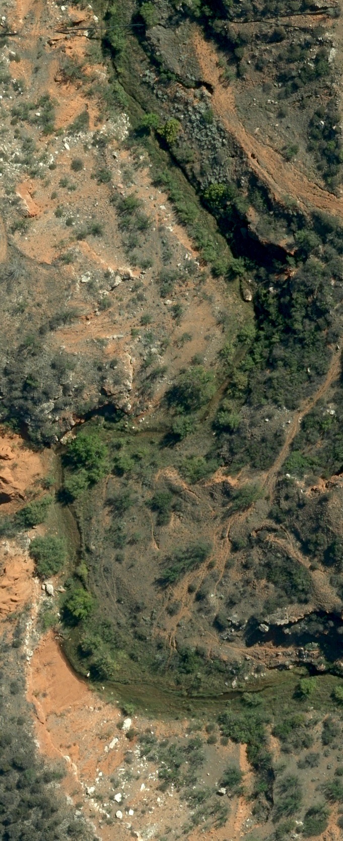 Environmental_Resource_Riparian