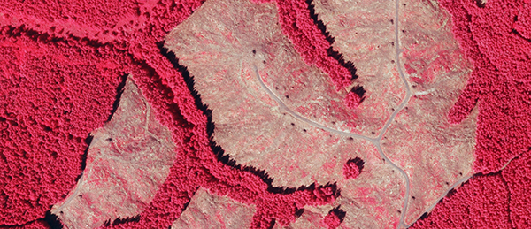 Color_Infrared_Forestry_Mapping_GIS_AccessGeographic